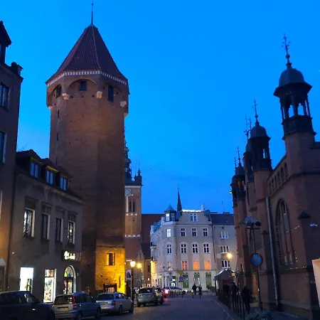 Bielski Lawendowa *